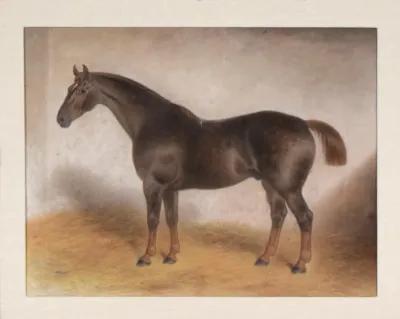 19th C English Horse Portrait Painting - Antiquarian Art Company - Brown