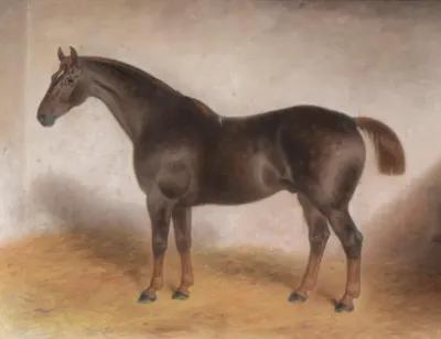 19th C English Horse Portrait Painting - Antiquarian Art Company - Brown