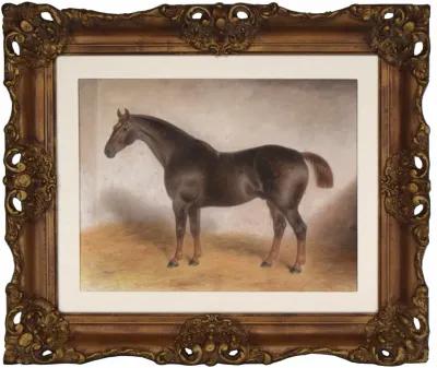 19th C English Horse Portrait Painting - Antiquarian Art Company - Brown