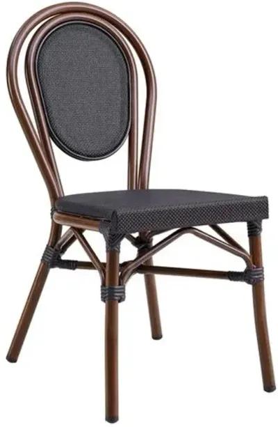 Set of 2 Joel Outdoor Side Chairs - Black/Brown