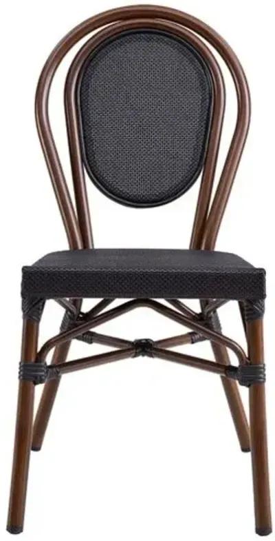 Set of 2 Joel Outdoor Side Chairs - Black/Brown