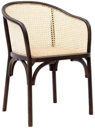 Tate Rattan Armchair - Walnut/Natural - Beige