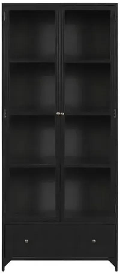 Aubrie Iron Shadow Box Tall Cabinet - Black