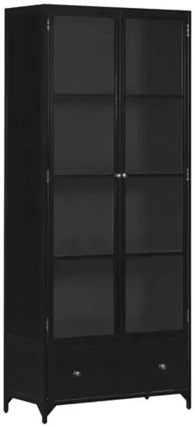 Aubrie Iron Shadow Box Tall Cabinet - Black