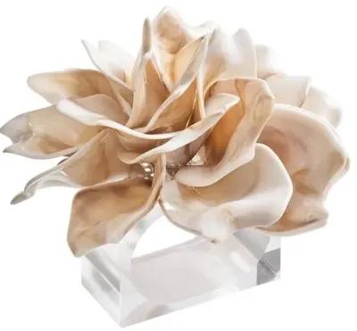 Set of 4 Dahlia Napkin Rings - Ivory - Kim Seybert