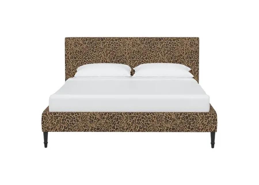 Lili Pounce Bed - Brown