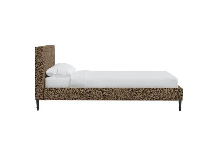 Lili Pounce Bed - Brown