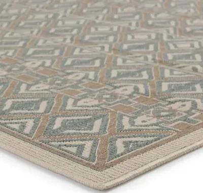 Nikhil Indoor/Outdoor Rug - Sea Green/Beige - Green