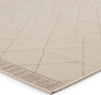 Anusha Indoor/Outdoor Rug - Beige/Dark Taupe - Beige