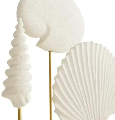 Set of 3 Shell Sculpture - White