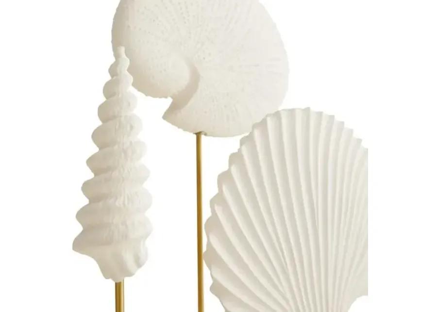 Set of 3 Shell Sculpture - White