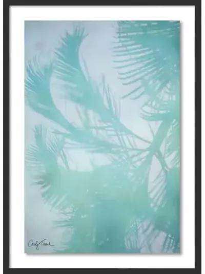 Carly Tabak - Reflections 3 Hawaii - Black