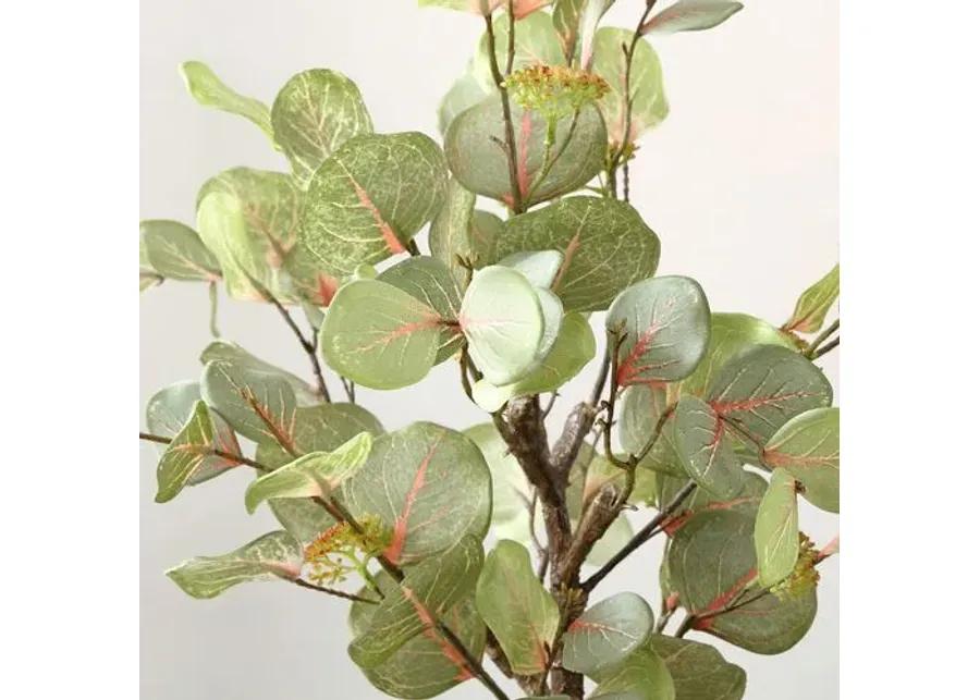 13.39x13.39x34.25 Belle Eucalyptus Potted Tree - Green