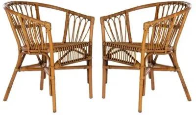 Set of 2 Bruno Rattan Accent Chairs - Honey Brown, Comfortable, Durable