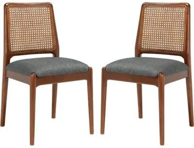 Set of 2 Opal Rattan Dining Chairs - Brown/Gray