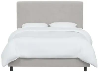 Novak Velvet Bed - Gray