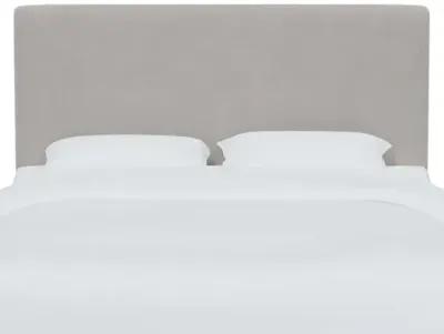 Novak Velvet Headboard - Gray