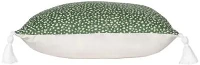 Nora Spot Outdoor Pillow - Green/White