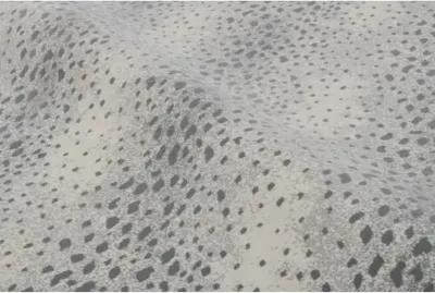 Fauna Rug - Bone - STARK - Gray - Gray