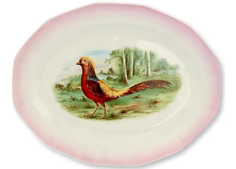 English Pheasant Platter w/Pink Rim - Rose Victoria