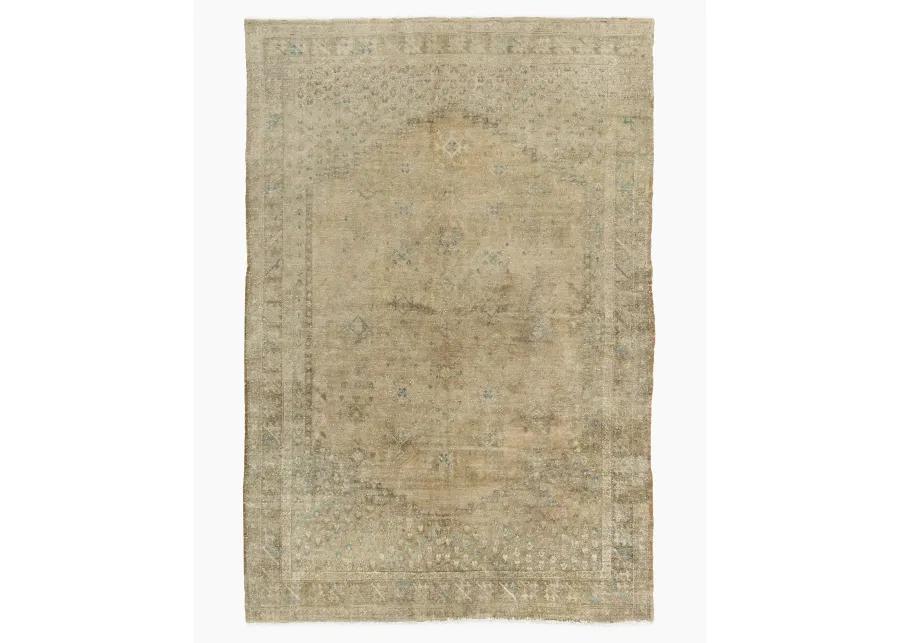 Turkish Oushak Area Rug 5'9 X 9'1 - Gold - Gold