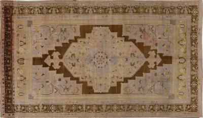 Antique Asian Khotan Rug - 7'5" x 12'8" - Apadana - Brown - Brown