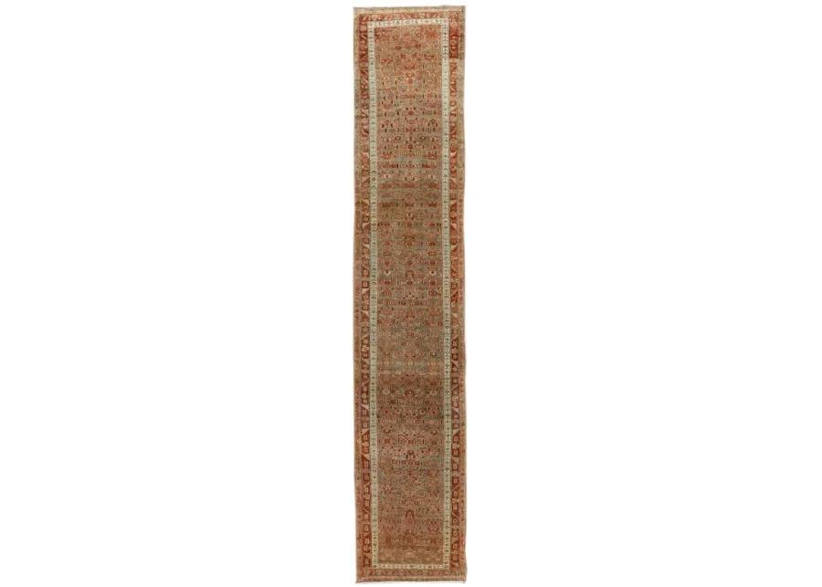 Antique Persian Malayer Runner Rug - Apadana - Red - Red