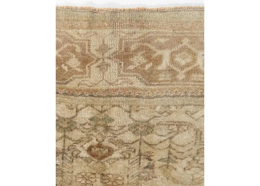 Turkish Oushak Area Rug 4'1 X 6' - Beige - Beige