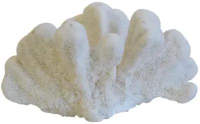 Coastal Nautical White Coral Specimen