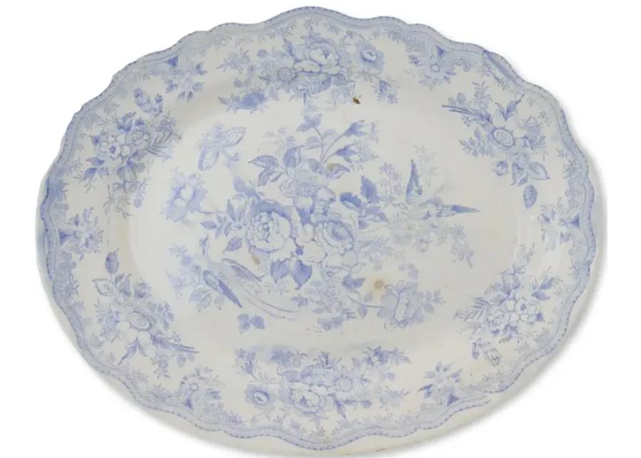 Asiatic Pheasant Staffordshire Platter - Rose Victoria - Blue