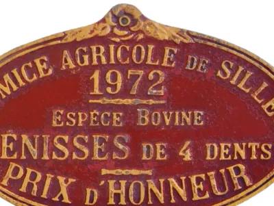 1972 French Prize Award Trophy Plaque - red