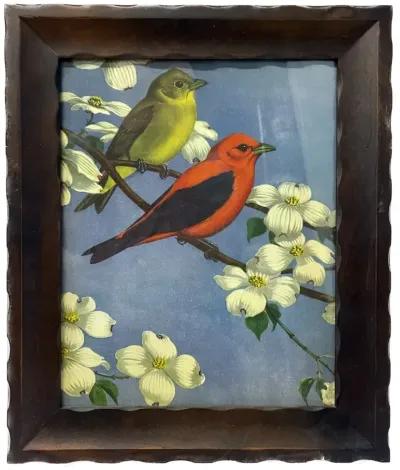 Vintage Framed Wild Bird Print - Blue