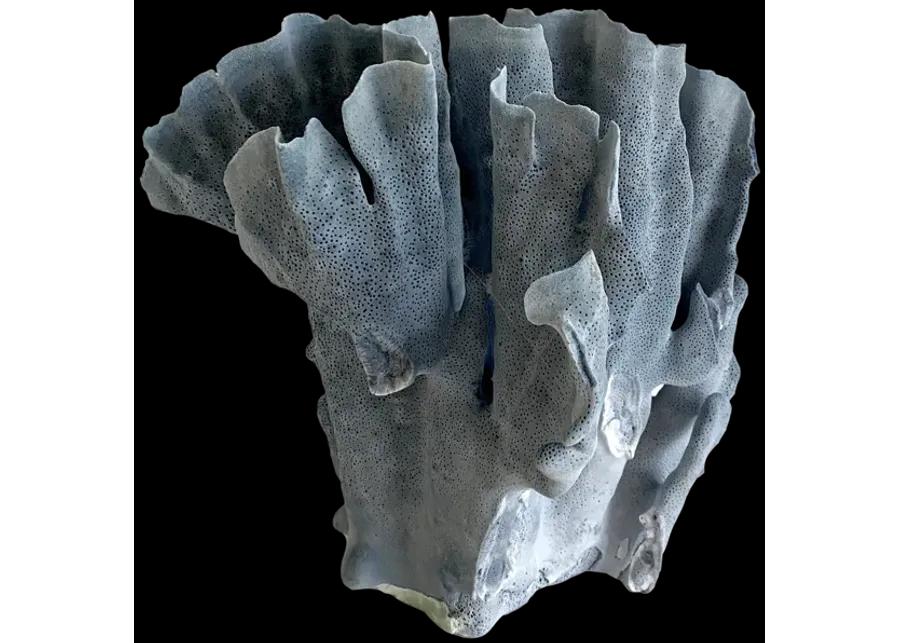 Natural Blue Coral Specimen