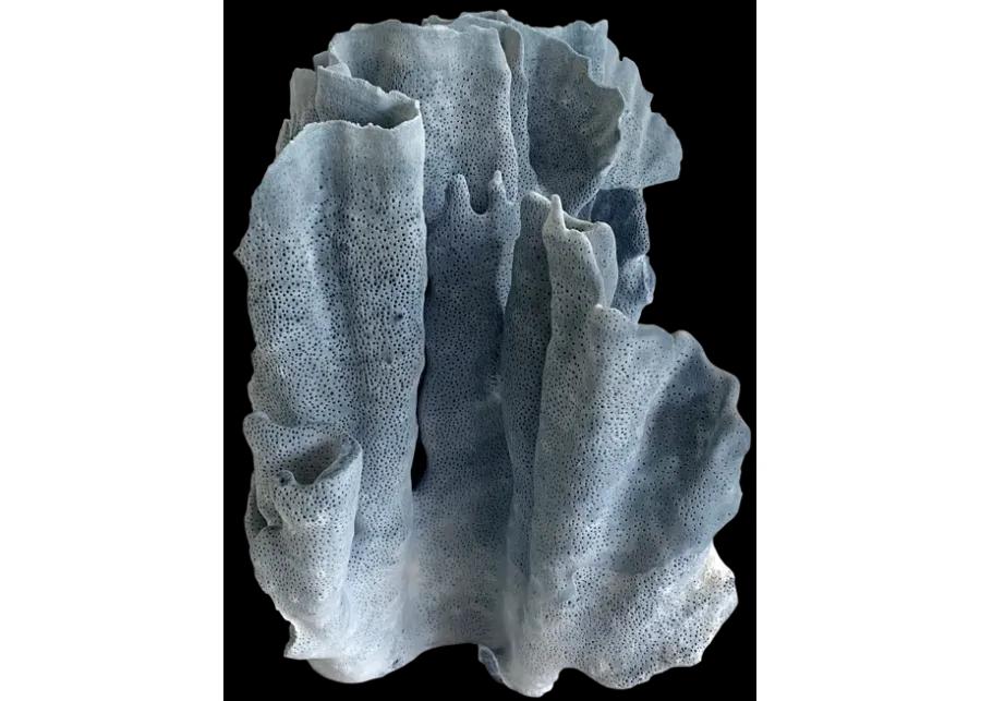 Natural Blue Coral Specimen