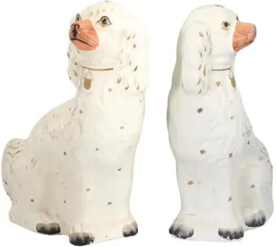 Large White Staffordshire Spaniel Dogs