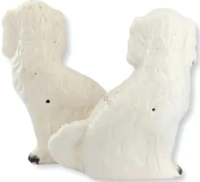 Large White Staffordshire Spaniel Dogs