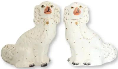 Large White Staffordshire Spaniel Dogs