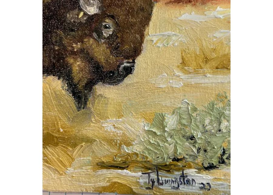 American Buffalo Bison Oil Painting - Yellow