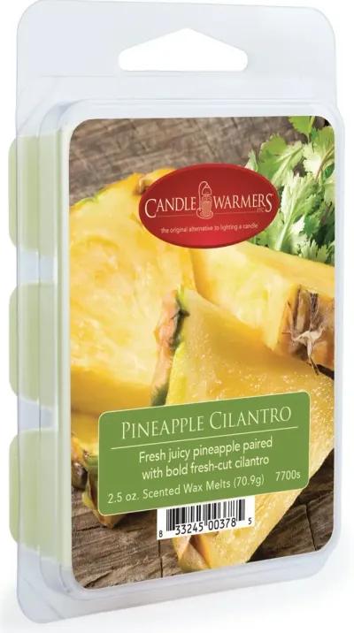 Pineapple Cilantro 2.5oz Wax Melt