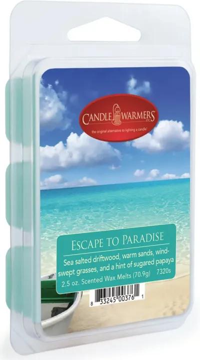 Escape To Paradise 2.5oz Wax Melt