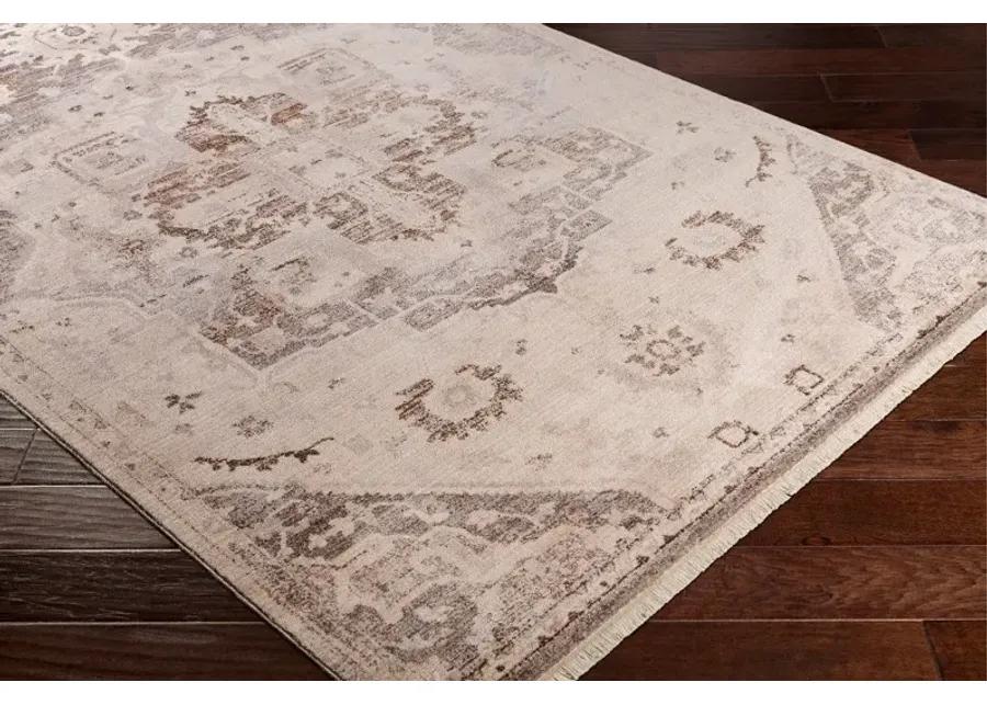 3 x 5 Small Beige, Brown and Gray Area Rug - Ephesians