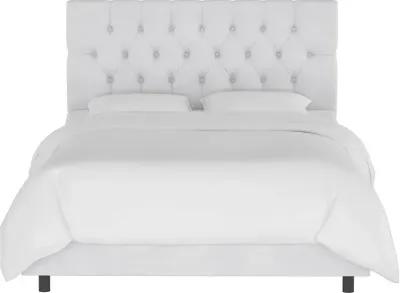 Julia Velvet White Tufted Queen Upholstered Bed - Skyline Furniture