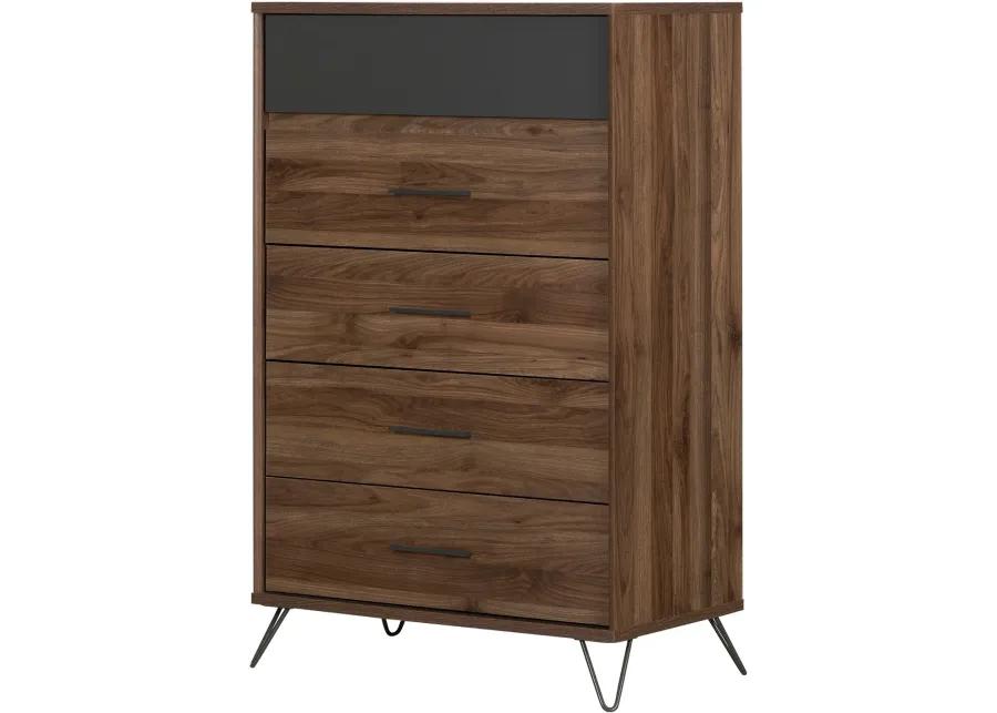 Modern Walnut and Charcoal Chest of Drawers - South Shore