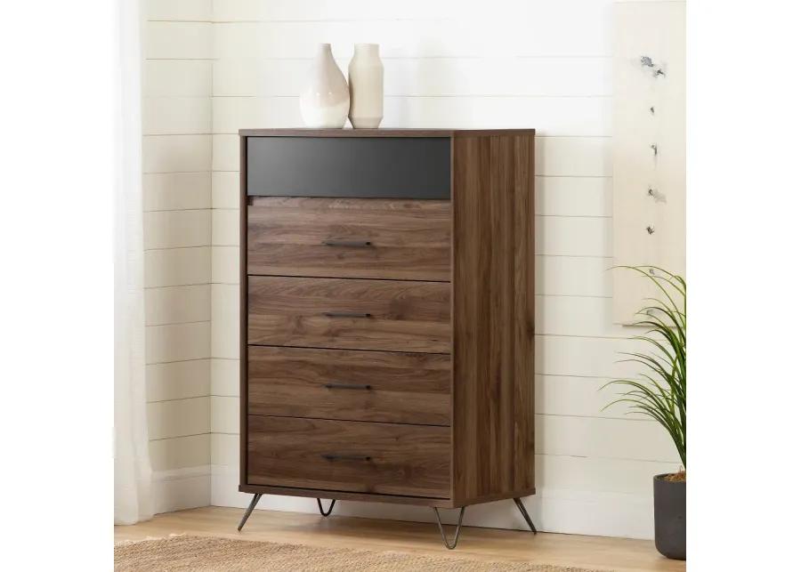 Modern Walnut and Charcoal Chest of Drawers - South Shore