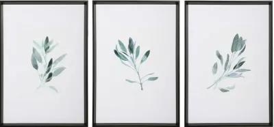 Assorted Simple Sage Framed Print with Matte Black Frame