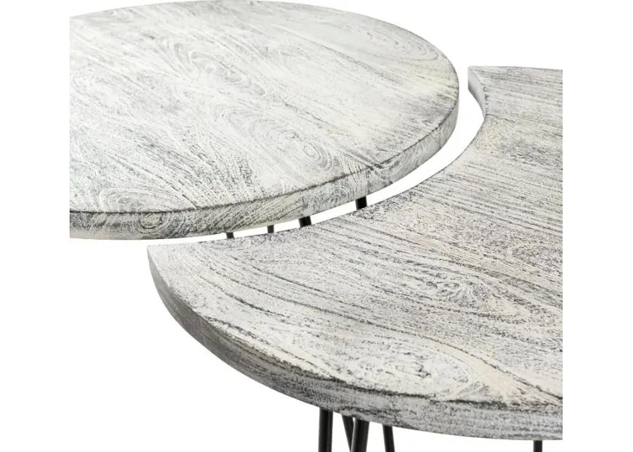 Modern Eclectic White Wash Moon Coffee Table Set - Selene