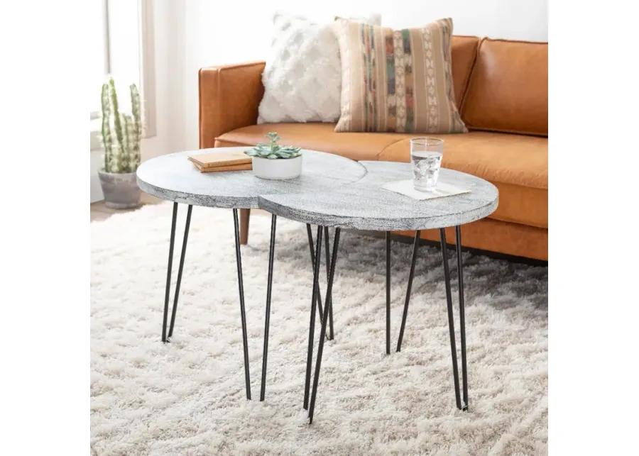 Modern Eclectic White Wash Moon Coffee Table Set - Selene