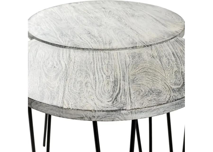 Modern Eclectic White Wash Moon Coffee Table Set - Selene