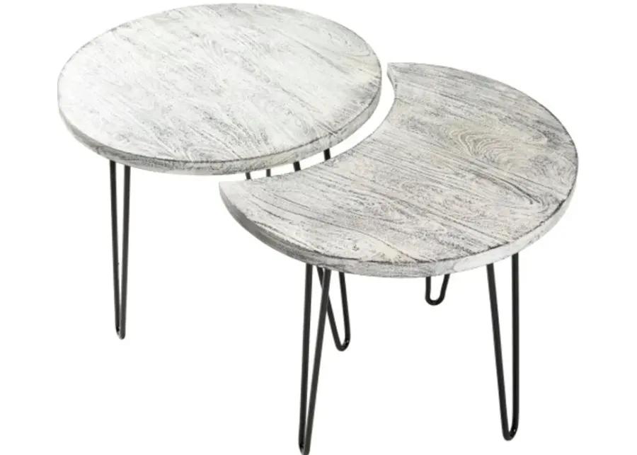 Modern Eclectic White Wash Moon Coffee Table Set - Selene