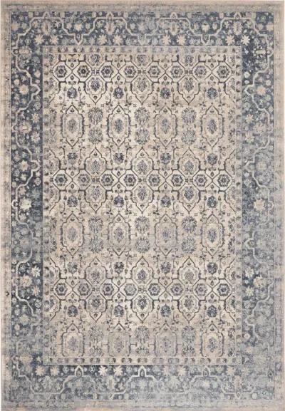 Malta 8 x 11 Vintage Blue Area Rug